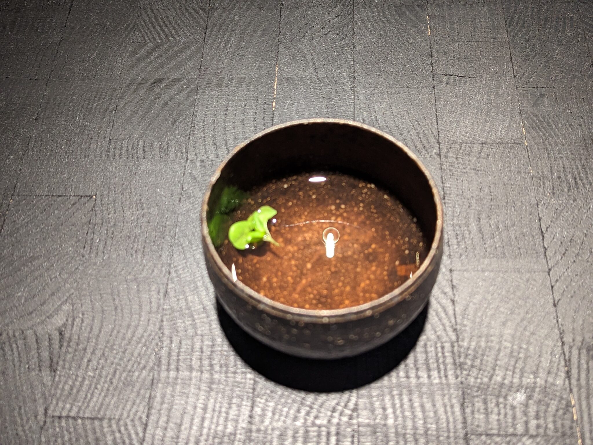 Gazpacho Consomme at Cyrus