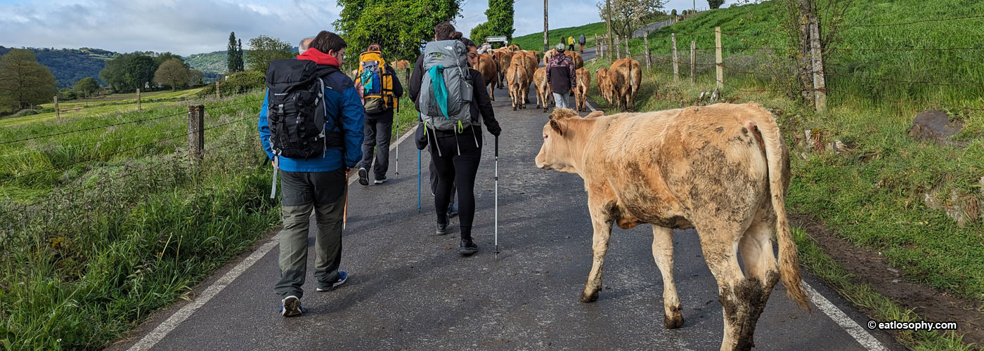 The Pilgrimage Road to Santiago – Camino Francés (Part 2)