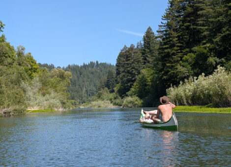 Summer Serenity: Kayaking the Russian River in Guerneville