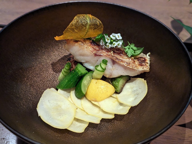 Nodoguro/Summer Squash, Goma Mochi, Zucchini Herb